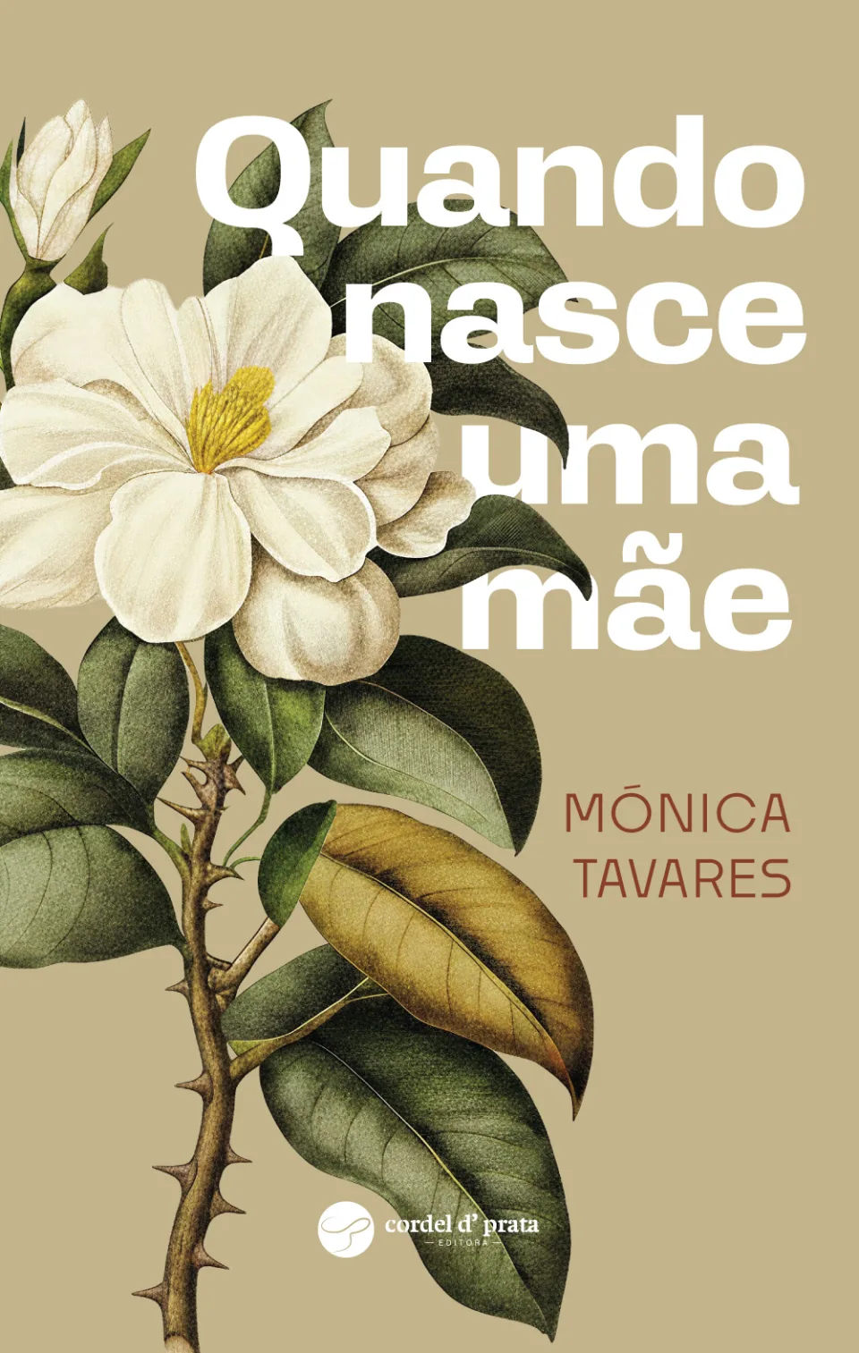 Capa de Quando nasce uma mãe