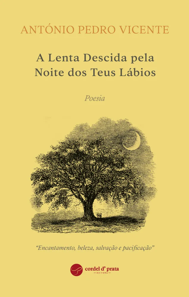 Capa de A lenta descida pela noite dos teus lábios