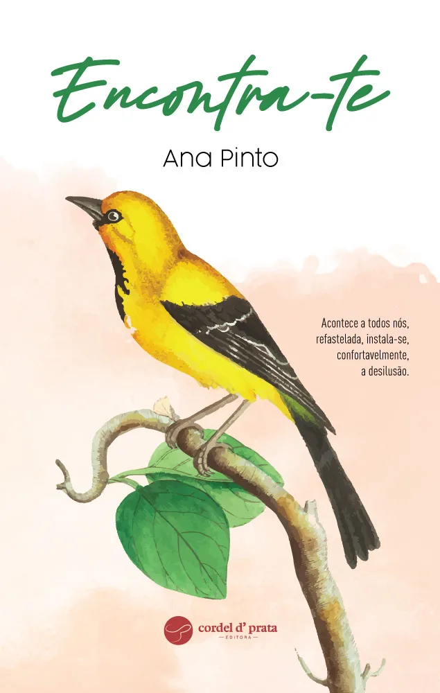 Capa de Encontra-te