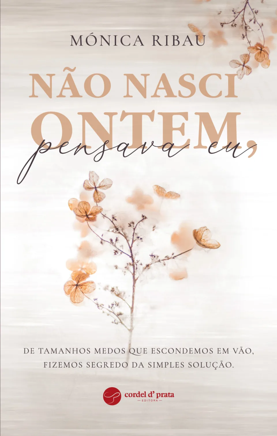 Capa de Não nasci ontem, pensava eu