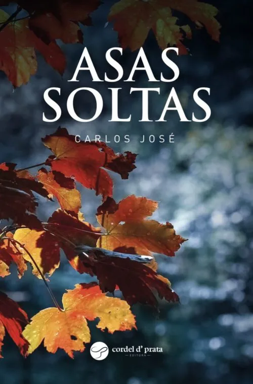 Capa de Asas Soltas