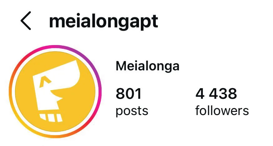 O perfil de Instagram meialongapt: 801 publicações, 4 438 seguidores