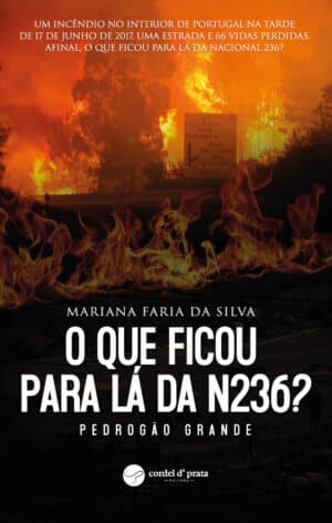 O que ficou para lá da N236?