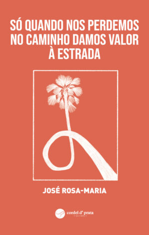 Só quando nos perdemos no caminho damos valor à estrada