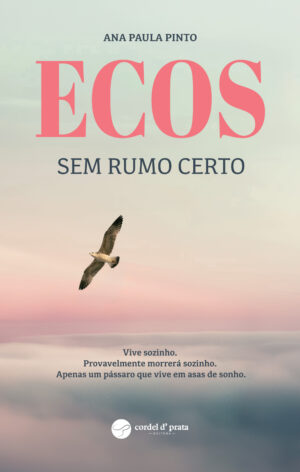 Ecos – sem rumo certo